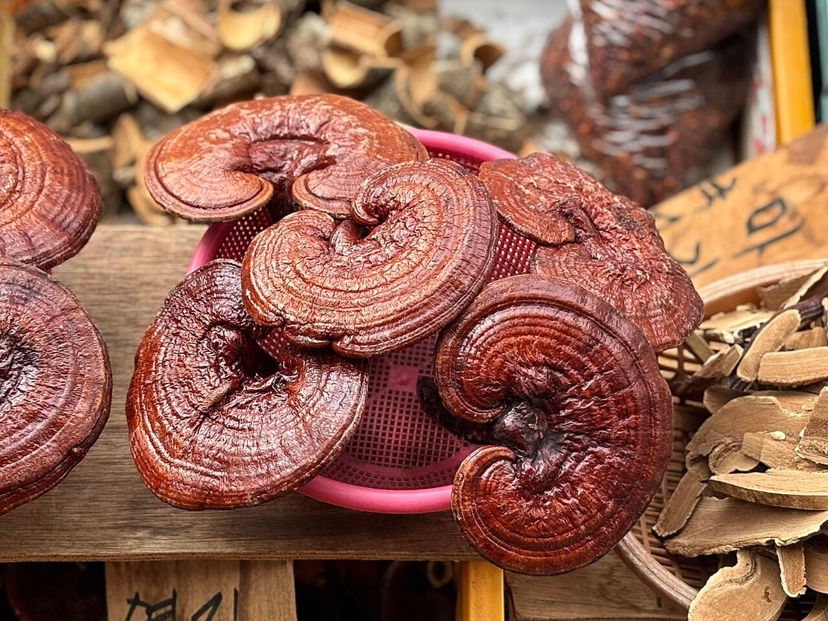 Getrocknete Reishi-Pilze auf einem traditionellen Markt