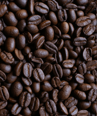 Premium Kakao / Robusta Kaffee