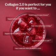Collagen 2.0