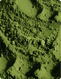 Premium Bio-Matcha