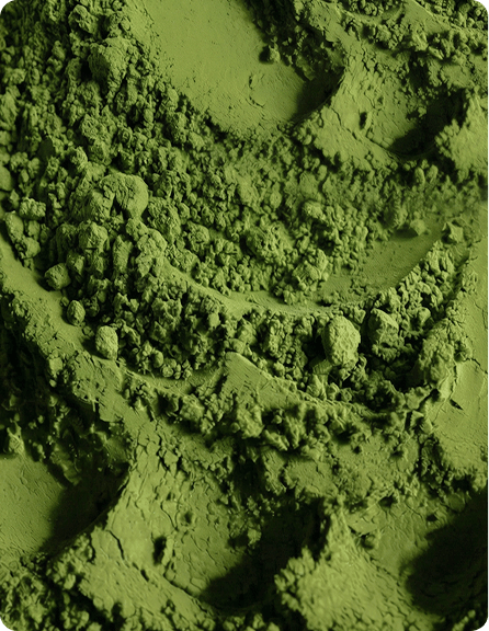 Bio Matcha Pulver