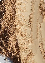 Verdauungsenzyme