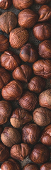Hazelnut