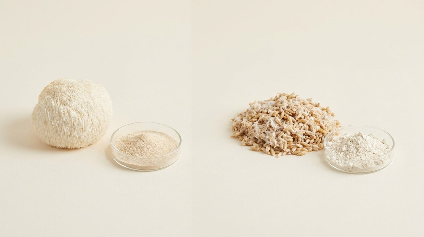 Echter Pilz und Extrakt links, Getreide mit Schimmel rechts